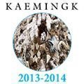 Шоурум продукции KAEMINGK 2013-2014