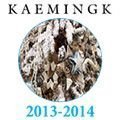   KAEMINGK 2013-2014