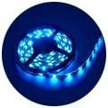 LEDSTRIP -  